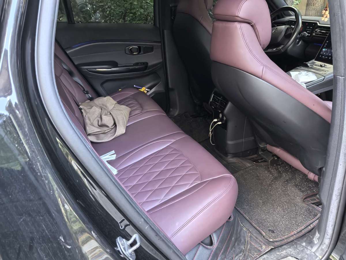 蔚來(lái) 蔚來(lái)EC6  2020款 615KM 簽名版圖片