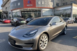 Model 3 特斯拉 标准续航后驱升级版