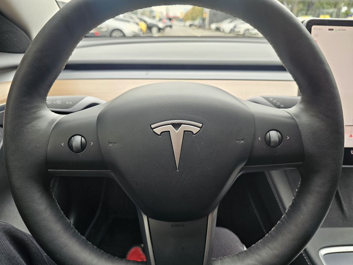 特斯拉 Model 3  2022款 后輪驅(qū)動版圖片