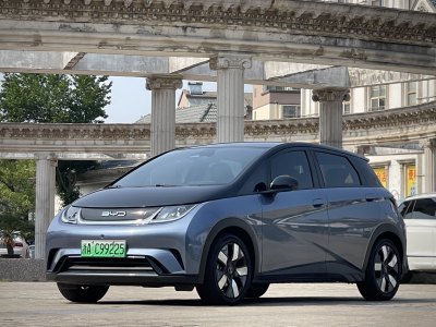 2023年6月 比亞迪 海豚 401km 騎士版圖片
