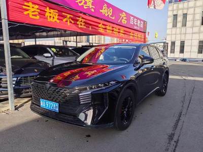 2022年12月 啟辰 啟辰大V 260T 愛(ài)豆版圖片