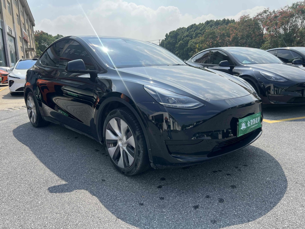 特斯拉 Model Y  2022款 后輪驅(qū)動版圖片