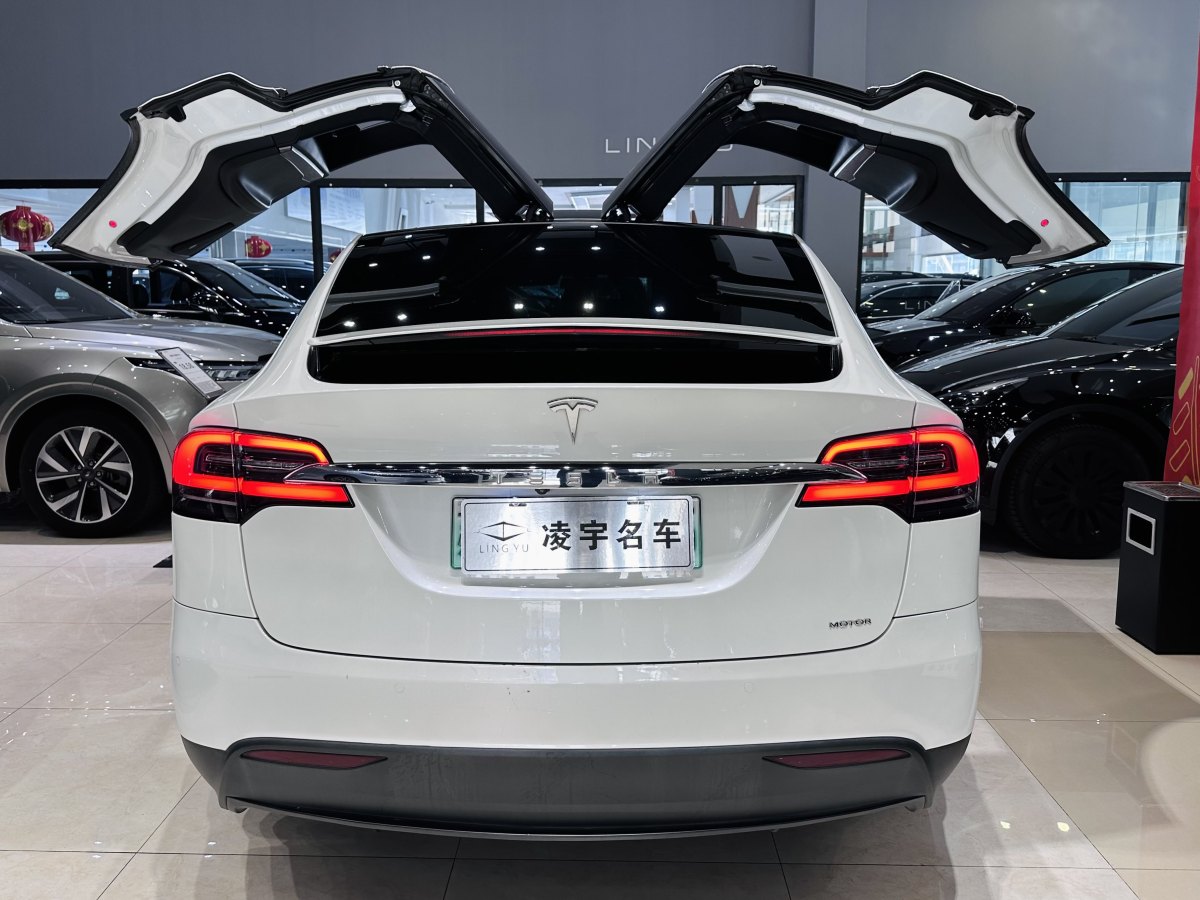 2020年4月特斯拉 Model X  2019款 長(zhǎng)續(xù)航版