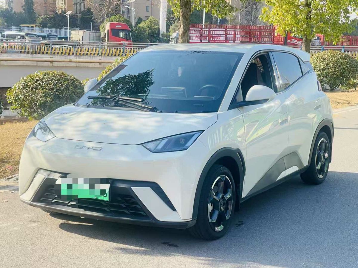 比亞迪 宋L DM-i  2024款 112km 超越型圖片