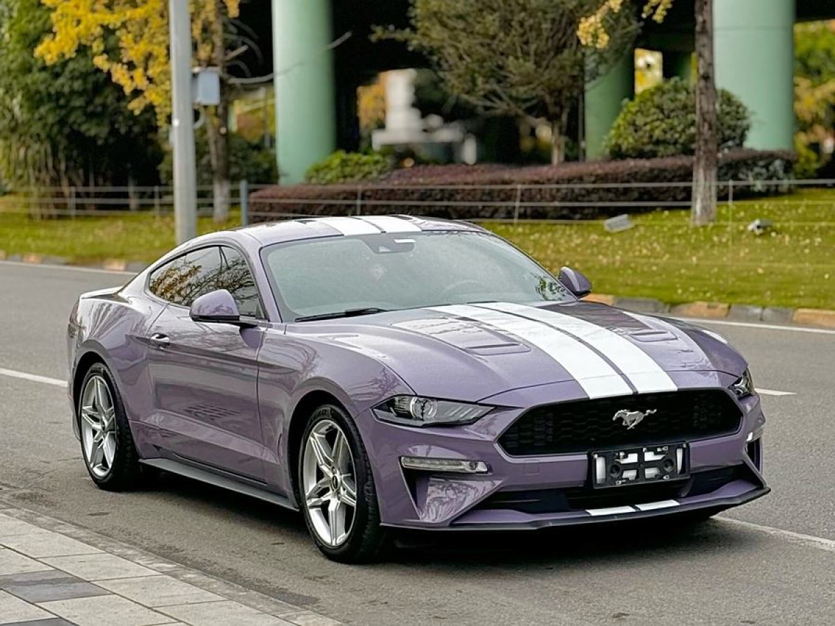 福特 Mustang  2019款 2.3L EcoBoost 性能加強(qiáng)版圖片