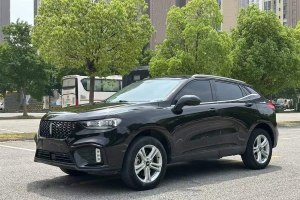 VV5 WEY  升級款 2.0T 兩驅(qū)超豪型 國VI