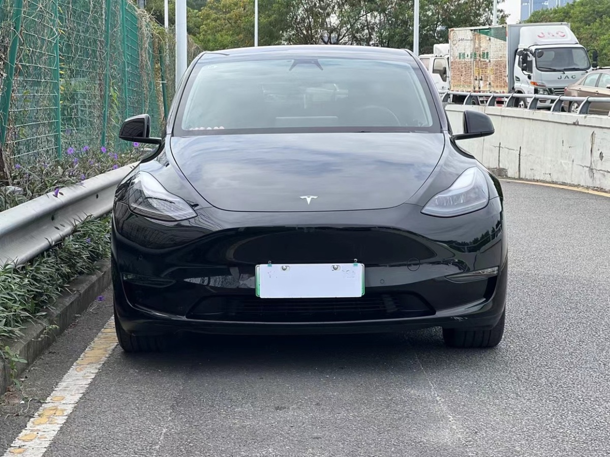 特斯拉 Model Y  2021款 長續(xù)航全輪驅動版 3D7圖片