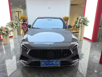 2022年1月 奔馳 奔馳EQA EQA 300 4MATIC 首發(fā)特別版圖片