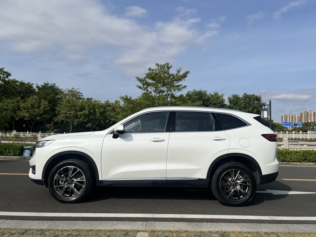 哈弗 哈弗H6新能源  2023款 DHT-PHEV 110KM 暢行版圖片