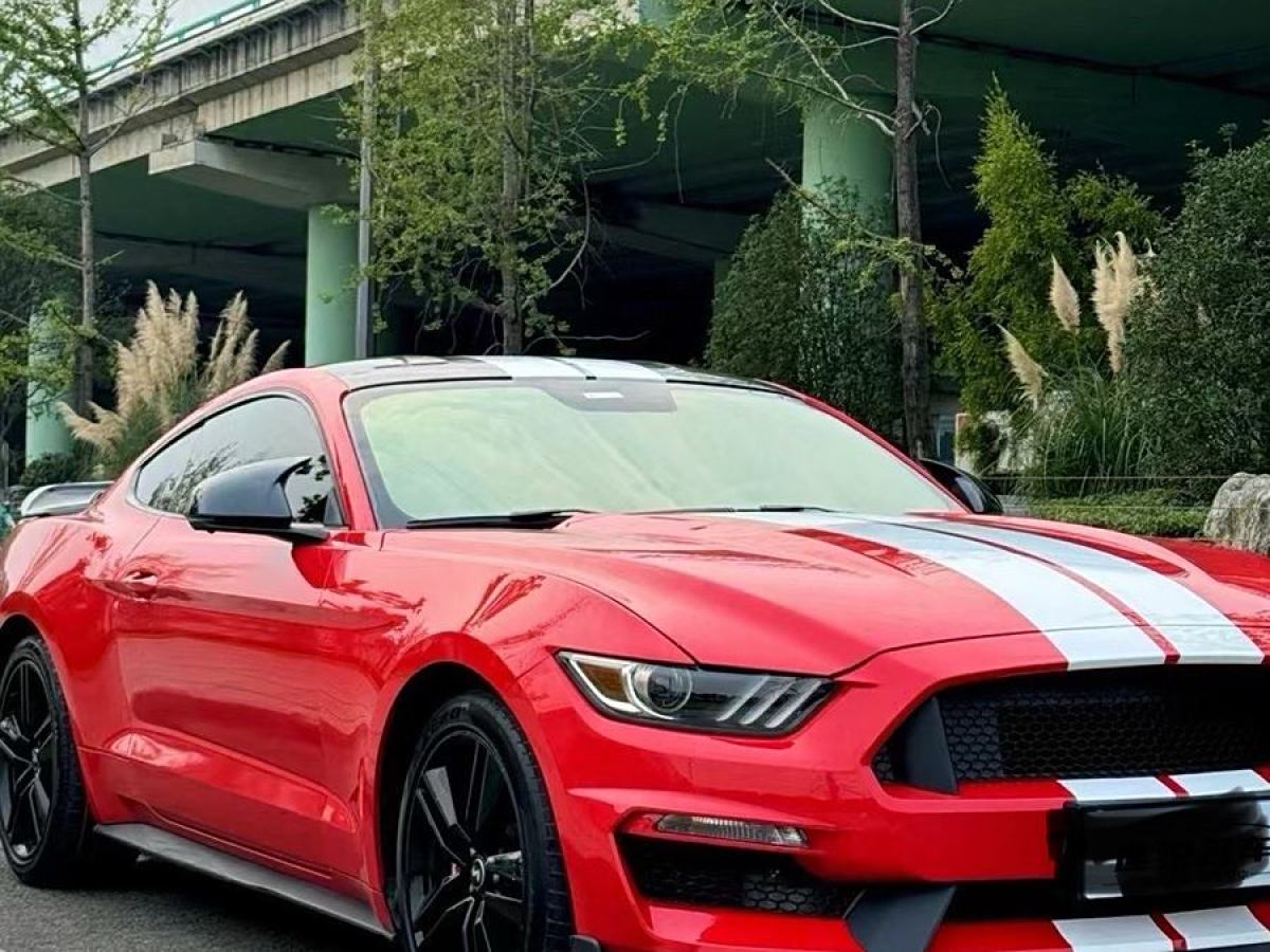 福特 Mustang  2015款 2.3T 性能版圖片