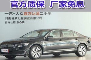 邁騰GTE插電混動 大眾 GTE 豪華型