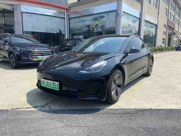 特斯拉 Model 3  2019款 标准续航后驱升级版