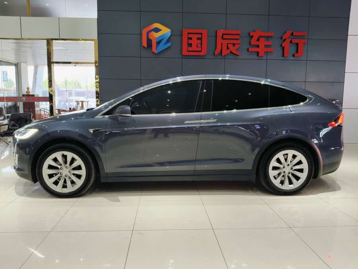 特斯拉 Model X  2020款 長續(xù)航升級版圖片