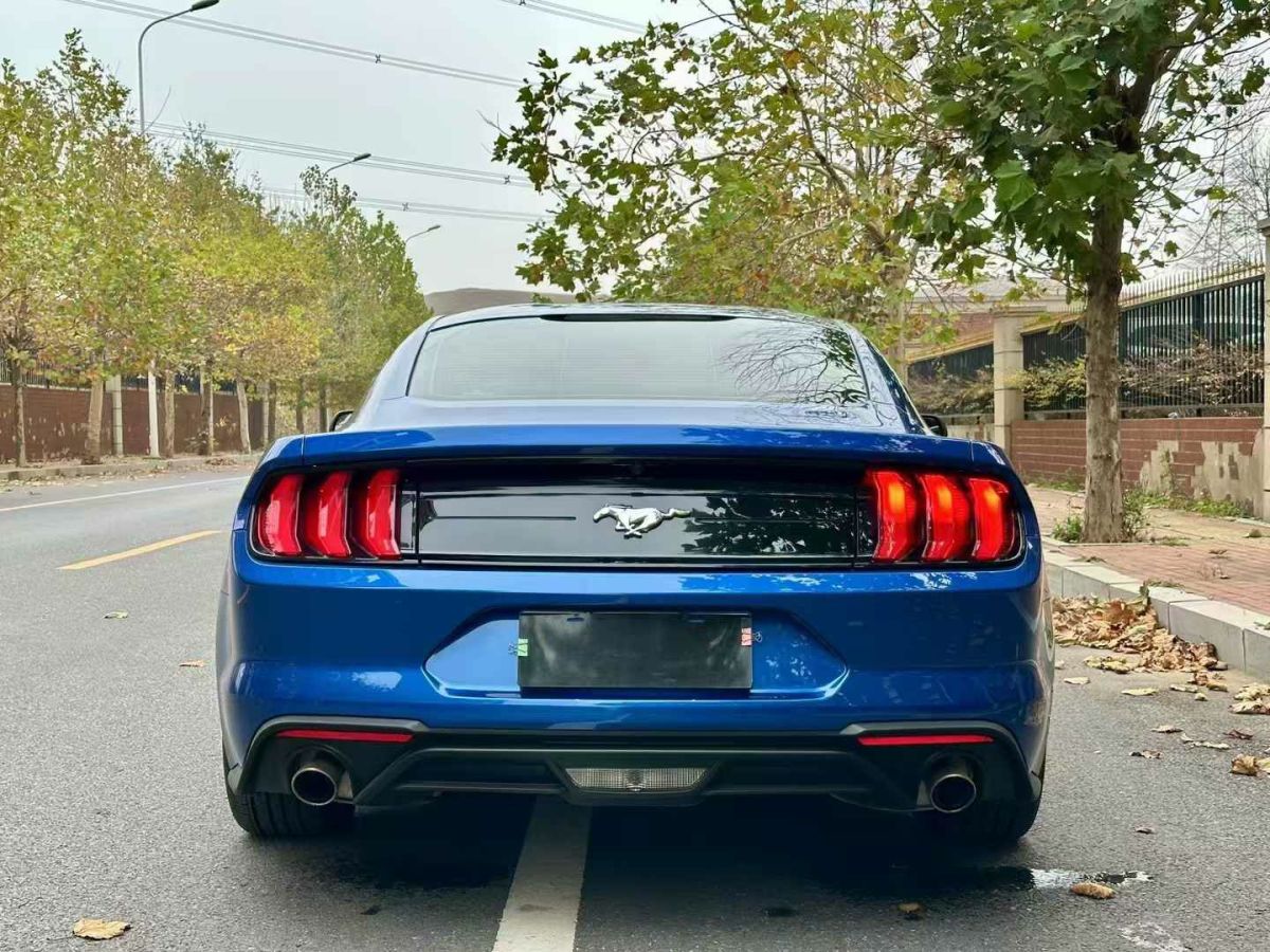 福特 Mustang  2018款 2.3L EcoBoost圖片