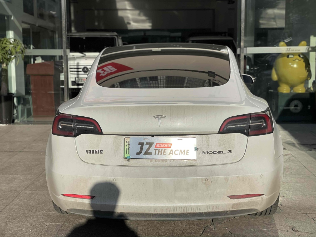 特斯拉 Model 3  2020款 改款 標(biāo)準(zhǔn)續(xù)航后驅(qū)升級(jí)版圖片