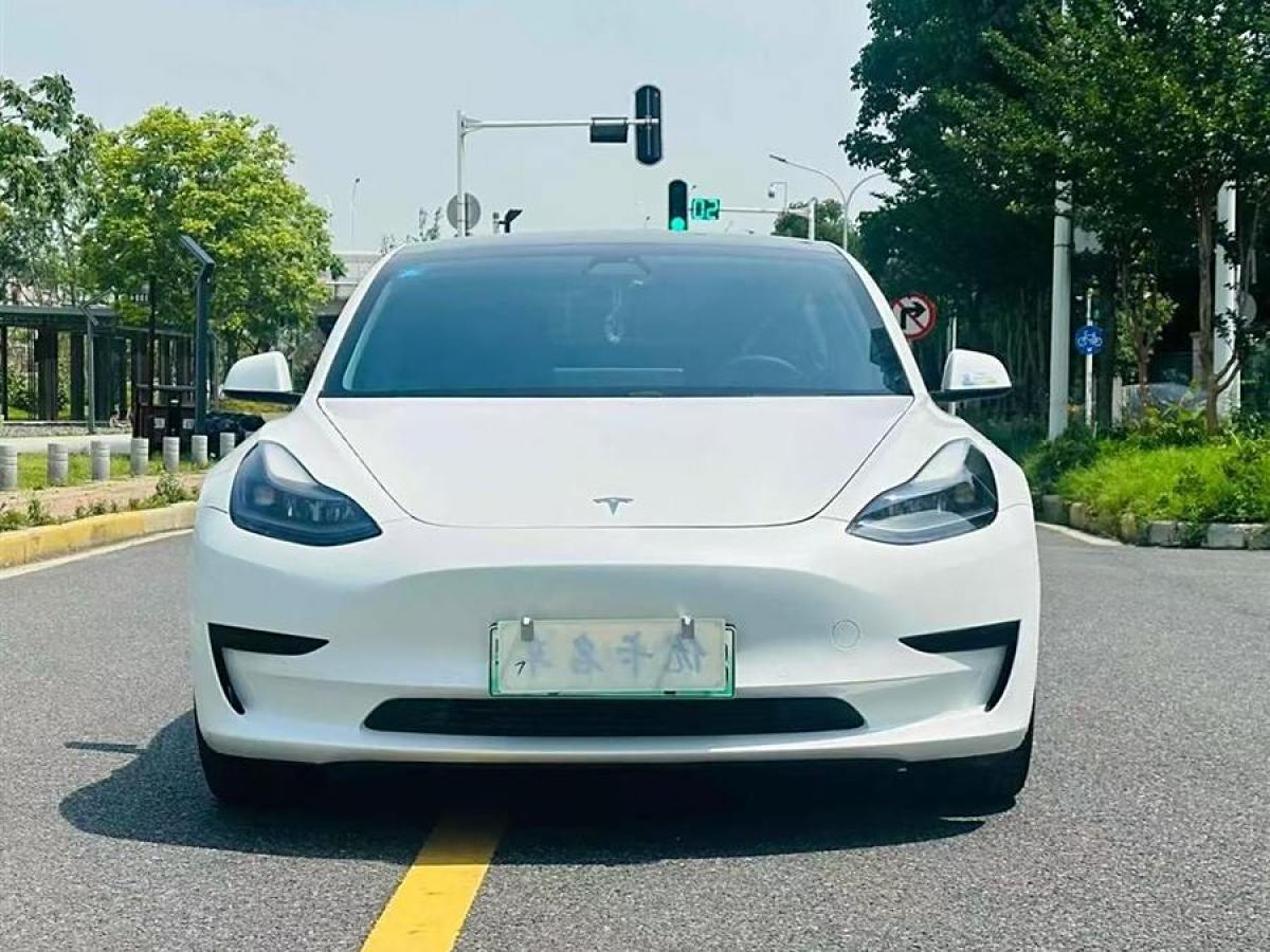 特斯拉 Model 3  2021款 改款 標(biāo)準(zhǔn)續(xù)航后驅(qū)升級版圖片