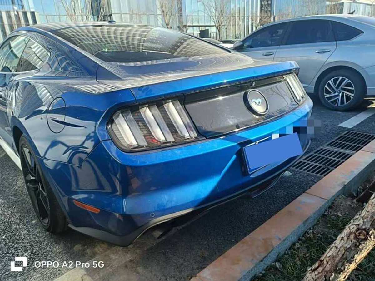 福特 Mustang  2015款 2.3T 性能版圖片