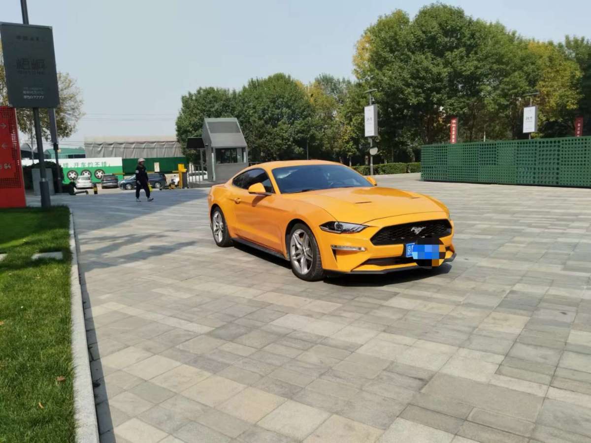 福特 Mustang  2019款 2.3L EcoBoost 性能加強(qiáng)版圖片