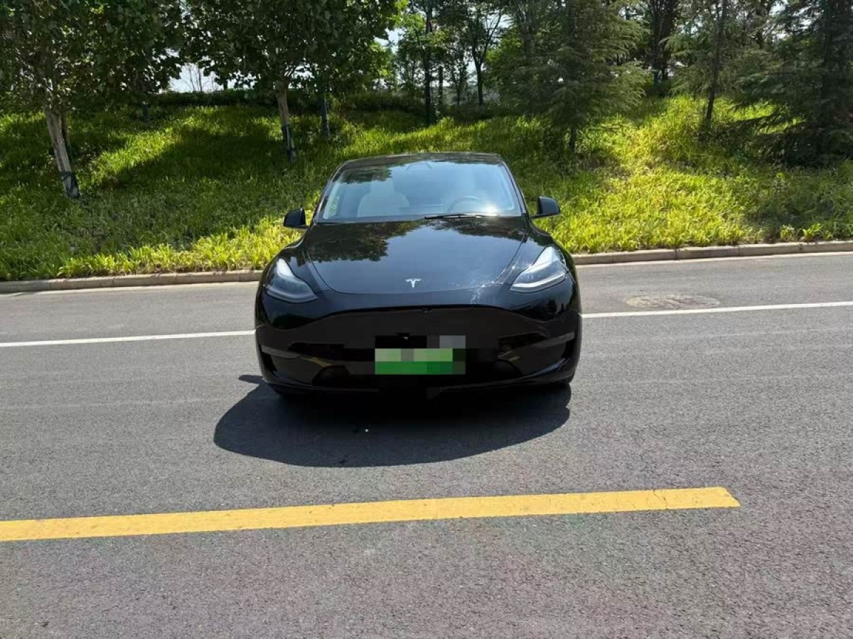 特斯拉 Model Y  2021款 標(biāo)準(zhǔn)續(xù)航后驅(qū)版圖片