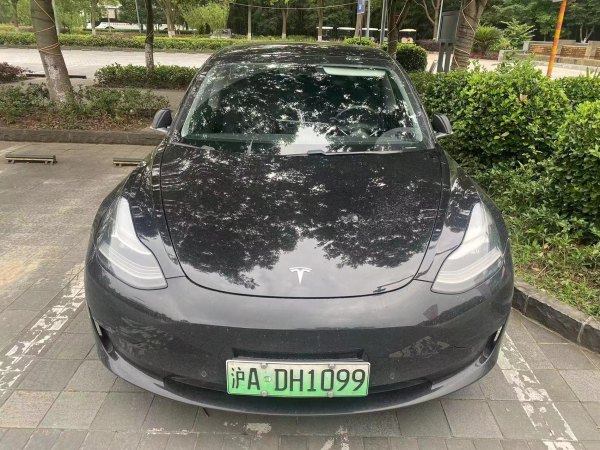 特斯拉 Model 3  2019款 标准续航后驱升级版