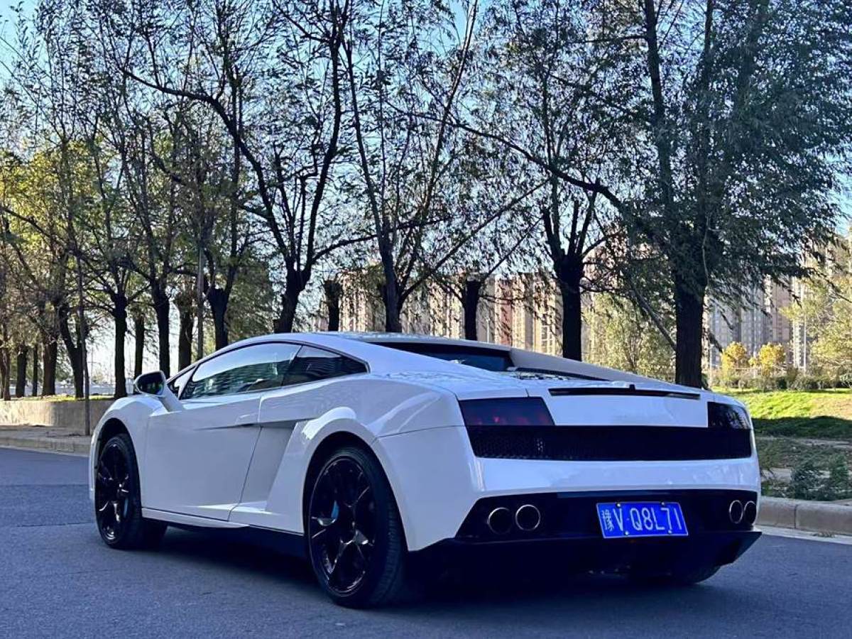 蘭博基尼 Gallardo  2011款 LP 550-2 Tricolore圖片