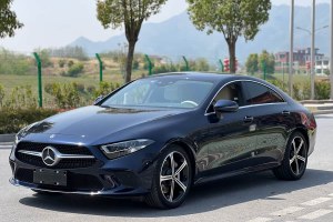 奔馳CLS級 奔馳 CLS 300 動感型