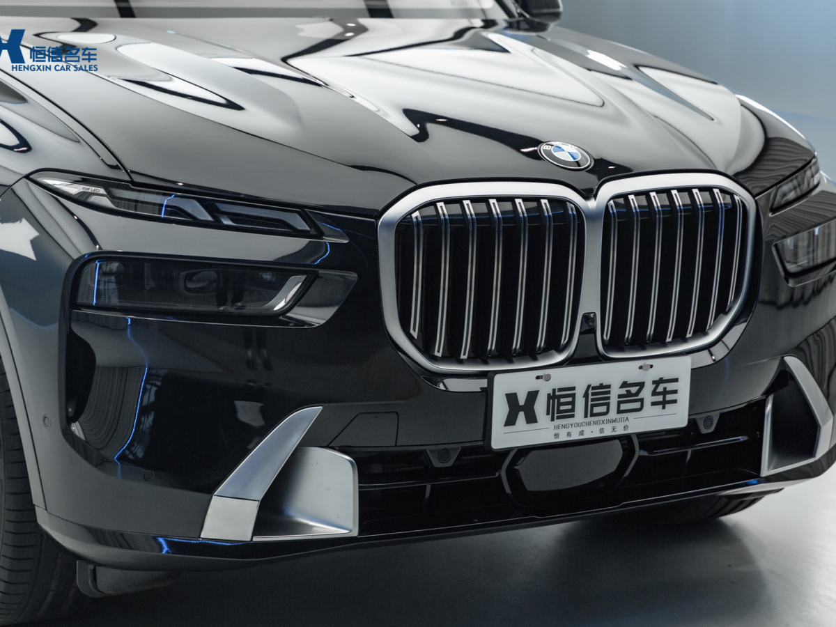 寶馬 寶馬X7  2023款 xDrive40i 領(lǐng)先型豪華套裝圖片