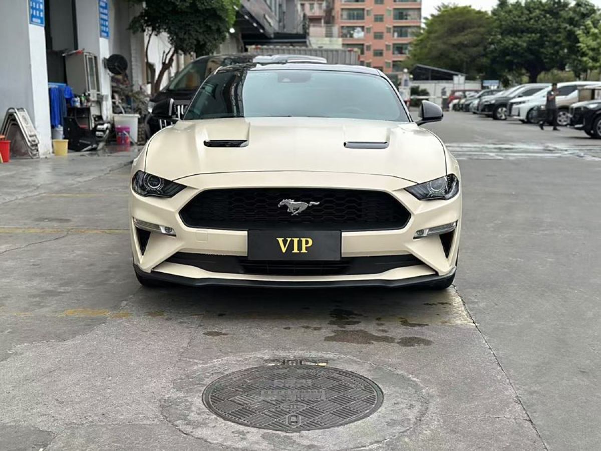 福特 Mustang  2020款 2.3L EcoBoost圖片