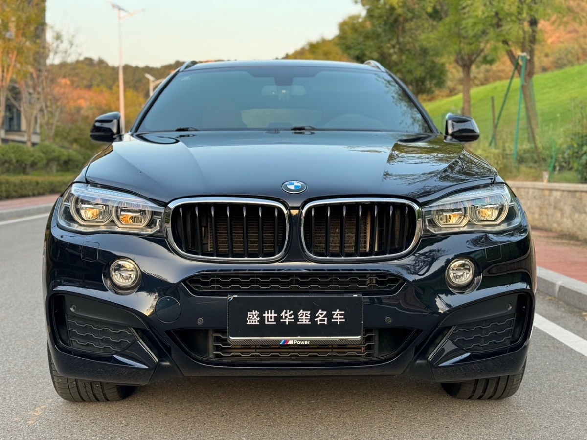 寶馬 寶馬X6  2018款 xDrive35i 領(lǐng)先型圖片