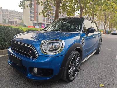 2019年8月 MINI COUNTRYMAN 2.0T COOPER S ALL4 藝術(shù)家圖片