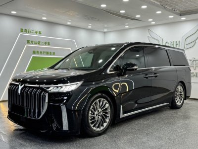 2024年1月 嵐圖 夢(mèng)想家 PHEV 超長(zhǎng)續(xù)航旗艦版圖片