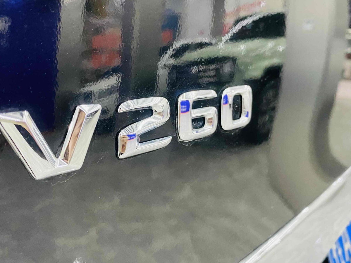 2017年8月奔驰 V级  2016款 V 260 领航版