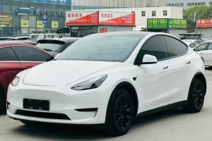 Model S 特斯拉 三電機(jī)全輪驅(qū)動 Plaid版