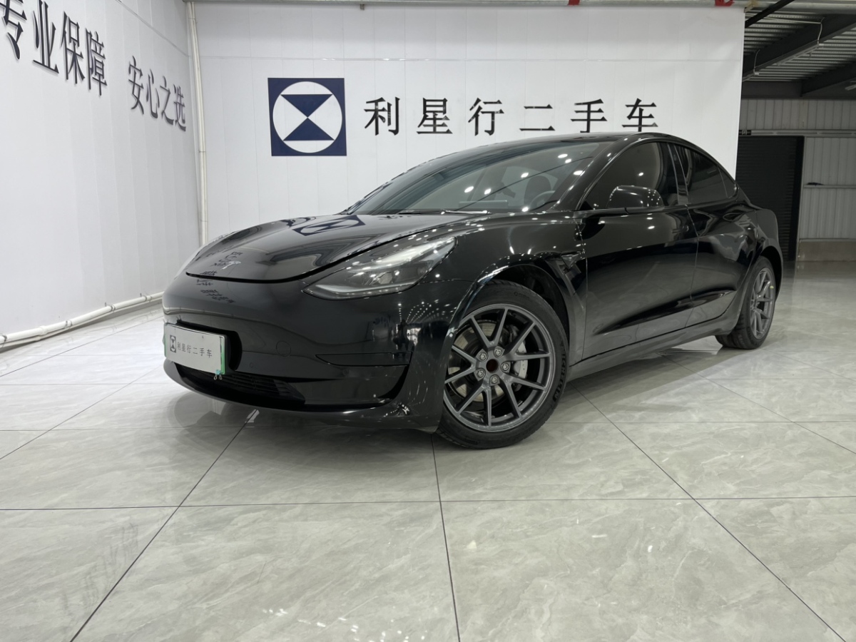 特斯拉 Model 3  2021款 標(biāo)準(zhǔn)續(xù)航后驅(qū)升級(jí)版 3D6圖片