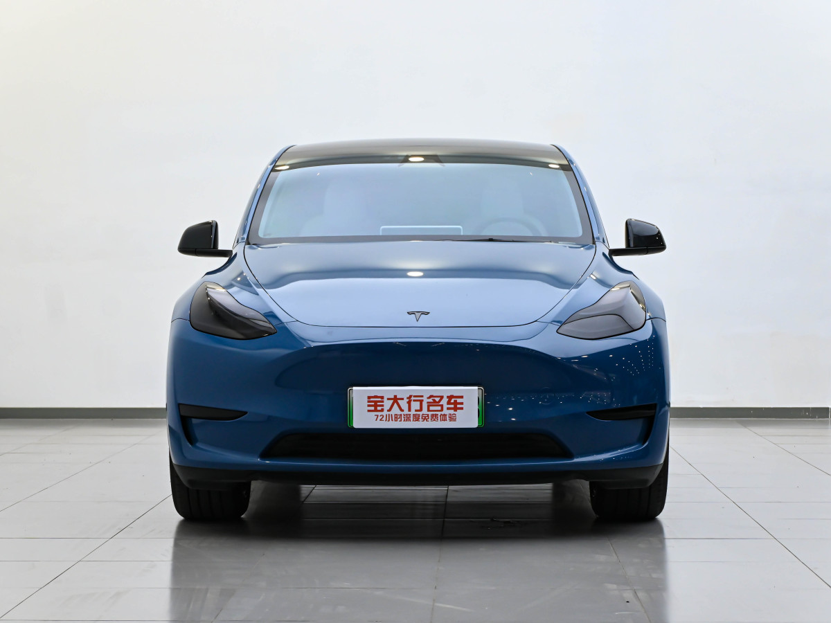 2024年3月特斯拉 Model Y  2020款 改款 長續(xù)航后輪驅(qū)動版