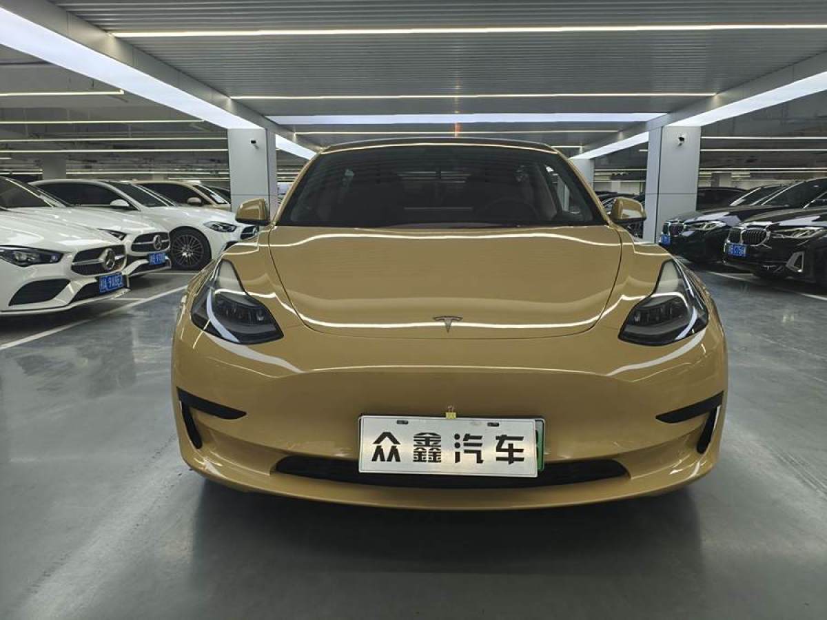 特斯拉 Model 3  2021款 標準續(xù)航后驅升級版 3D6圖片