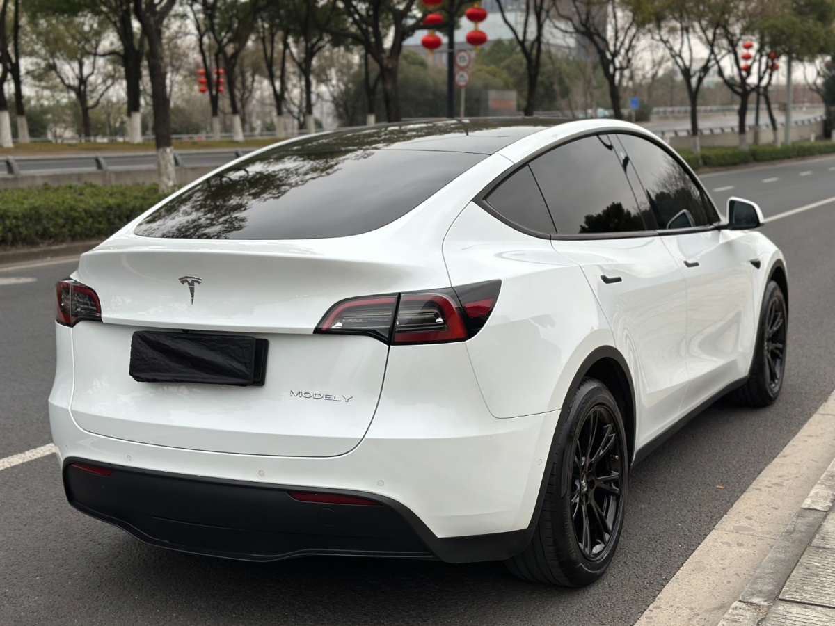 特斯拉 Model Y  2023款 后輪驅(qū)動(dòng)版圖片