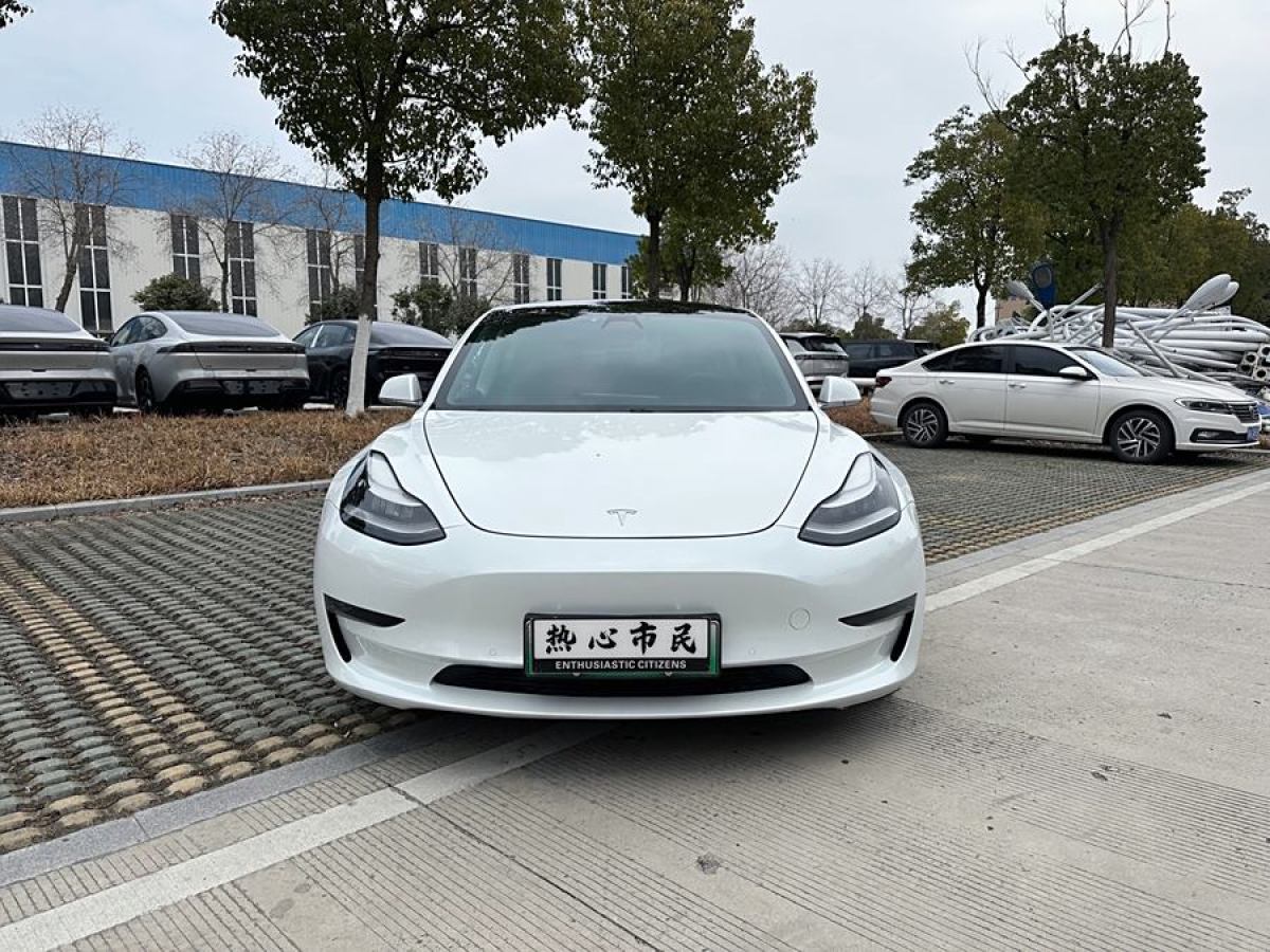 特斯拉 Model 3  2019款 長續(xù)航全輪驅(qū)動版圖片