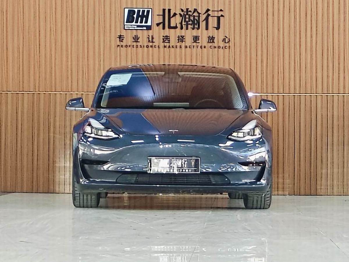 特斯拉 Model 3  2020款 改款 標(biāo)準(zhǔn)續(xù)航后驅(qū)升級(jí)版圖片