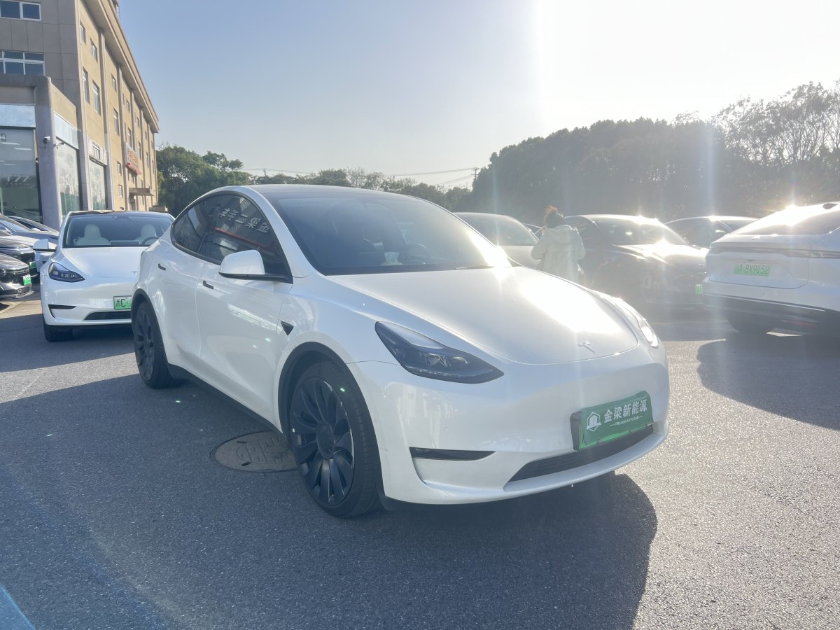 特斯拉 Model 3  2022款 Performance高性能全輪驅(qū)動版圖片