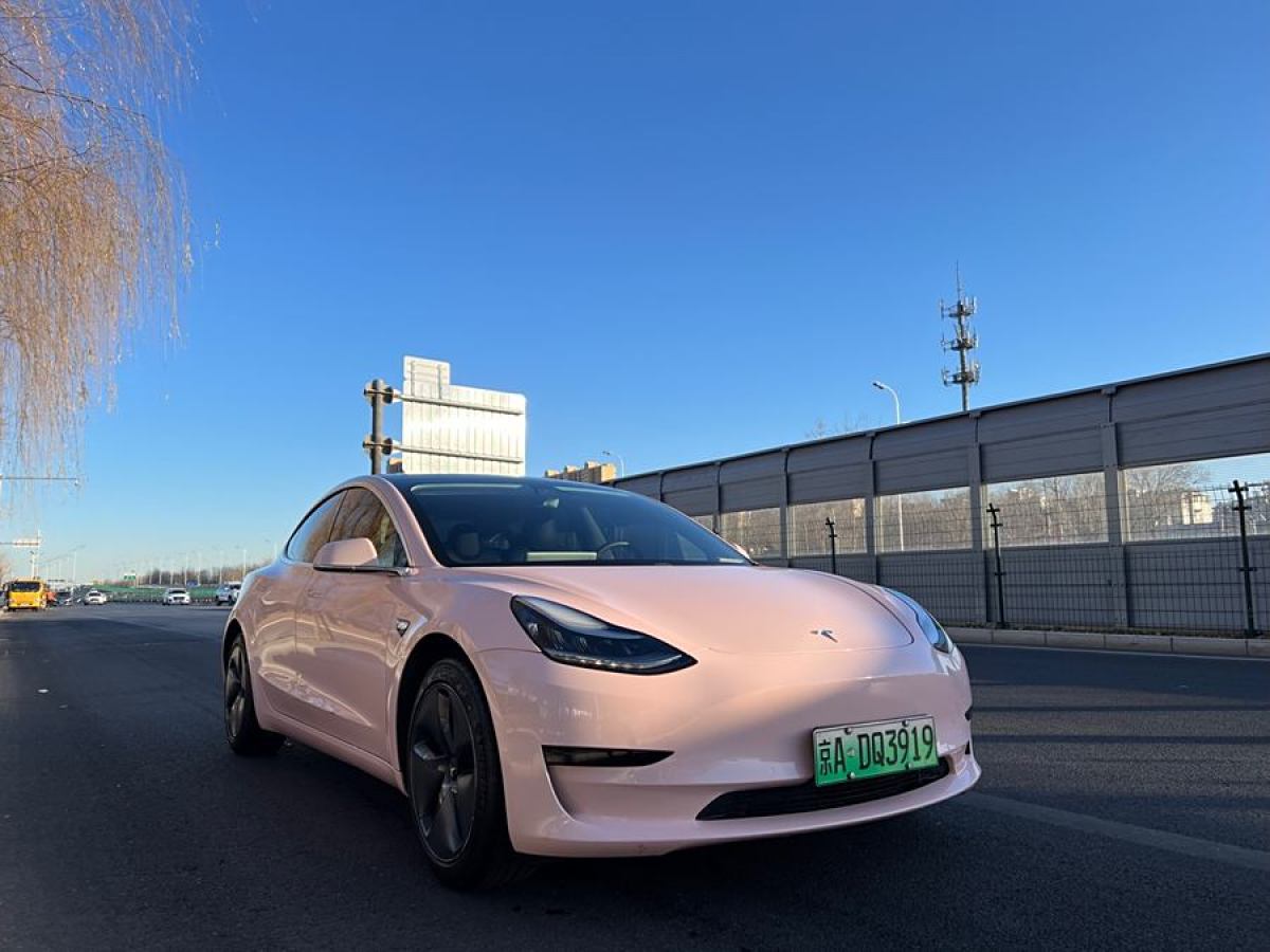 特斯拉 Model 3  2019款 標準續(xù)航后驅(qū)升級版圖片