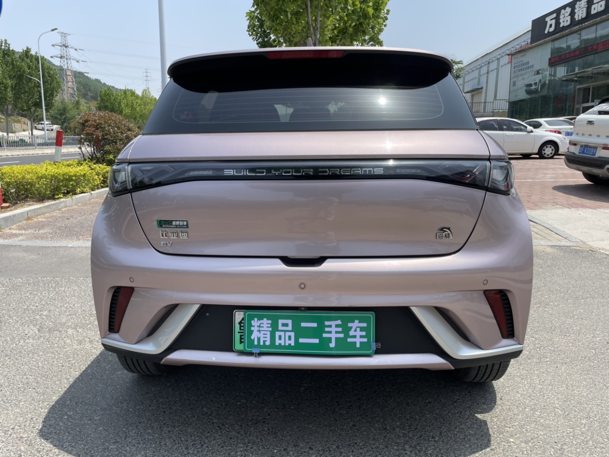 比亞迪 海豚  2021款 405km 時(shí)尚版圖片