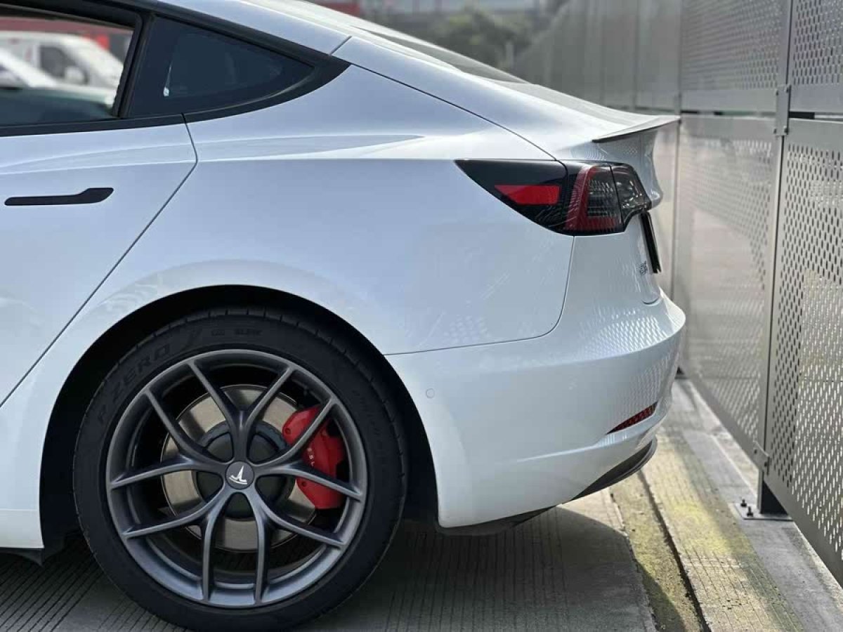 特斯拉 Model 3  2021款 改款 Performance高性能全輪驅(qū)動版圖片