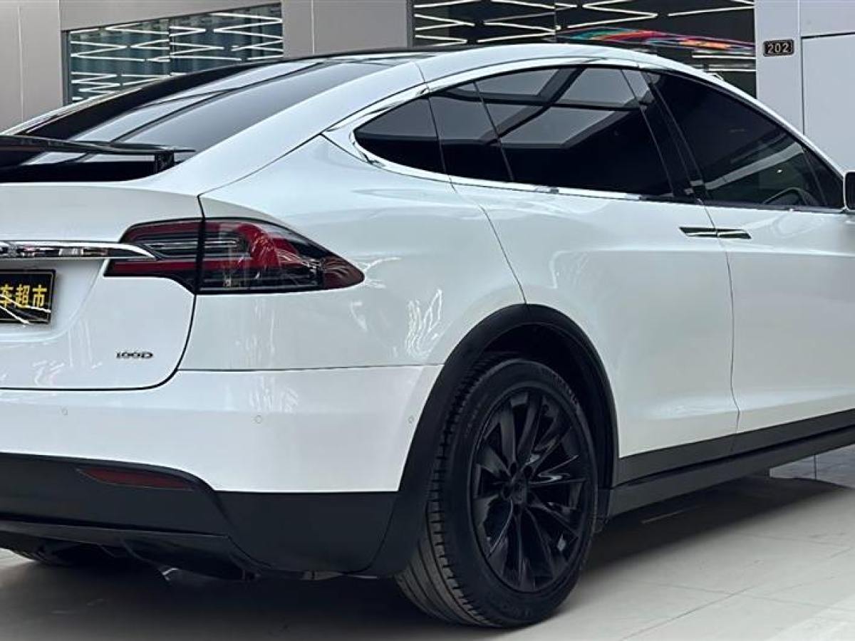 2019年3月特斯拉 Model X  2017款 Model X 100D 長續(xù)航版