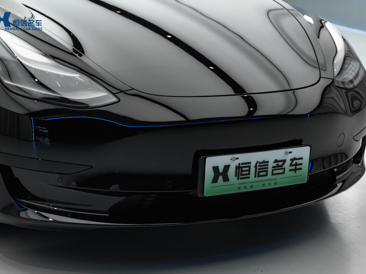 特斯拉 Model 3  2022款 改款 后輪驅(qū)動版圖片