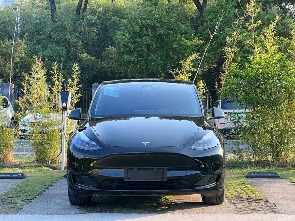 特斯拉 Model Y  2022款 后輪驅(qū)動(dòng)版圖片