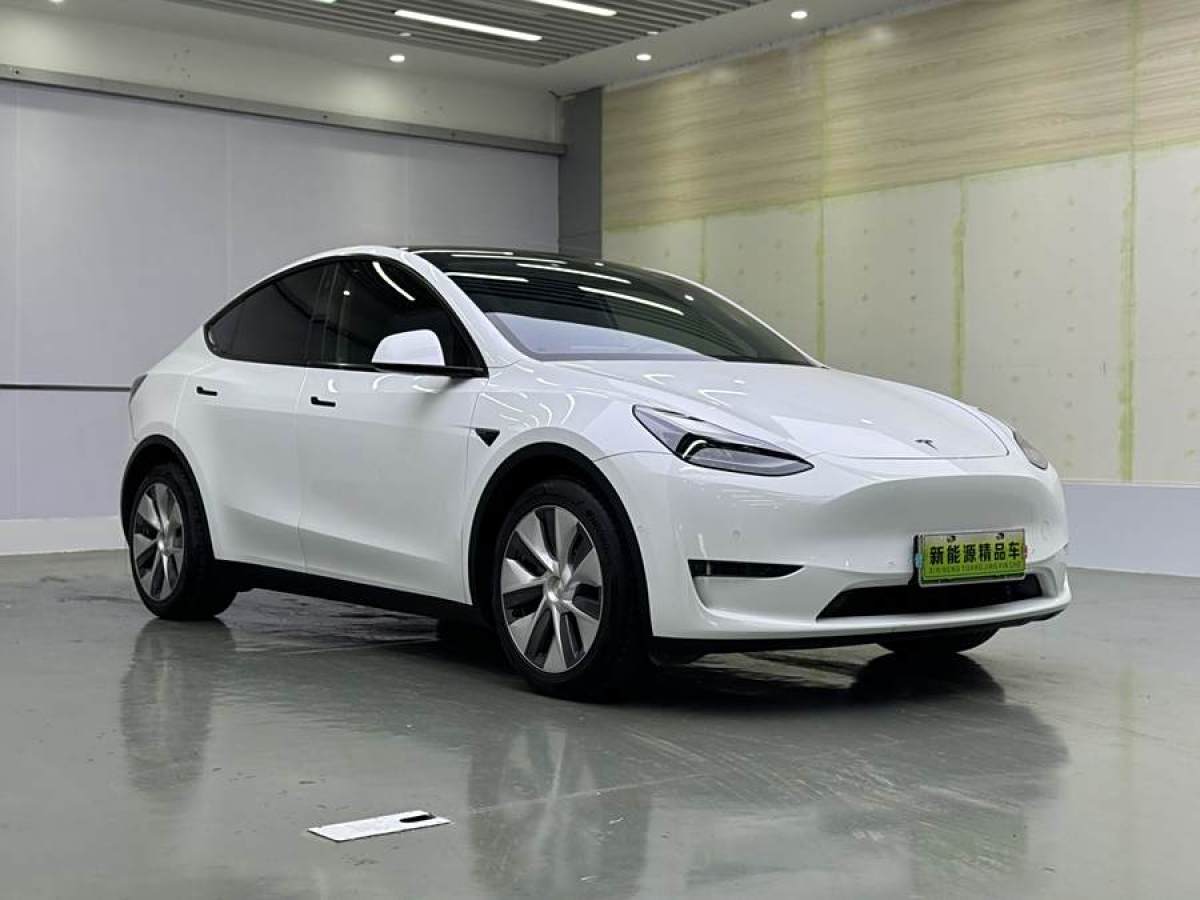 特斯拉 Model Y  2021款 改款 長續(xù)航全輪驅(qū)動版圖片