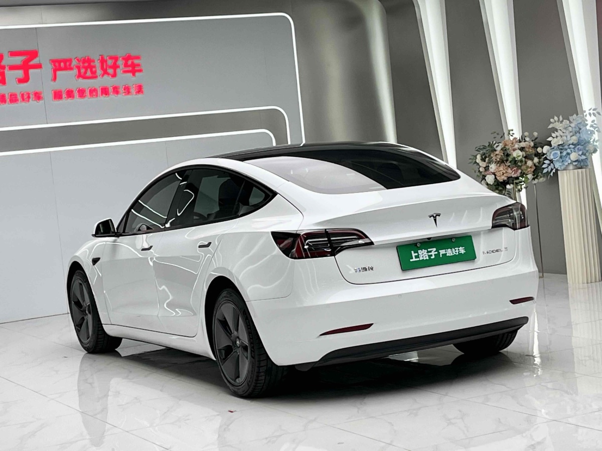 特斯拉 Model 3  2019款 標準續(xù)航后驅(qū)升級版圖片