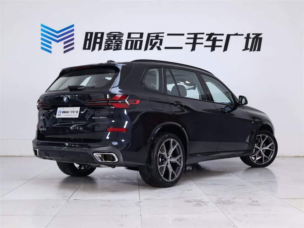 寶馬 寶馬X5  2023款 xDrive 30Li 尊享型M運(yùn)動(dòng)曜夜套裝圖片