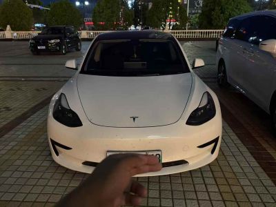 2021年1月 特斯拉 Model S Performance 高性能版圖片